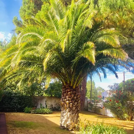 La Taniere, Piscine Et 300m De La *