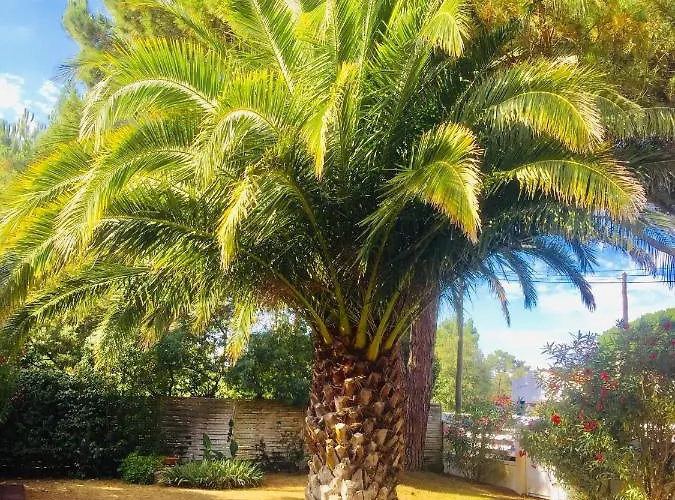 La Taniere, Piscine Et 300m De La *
